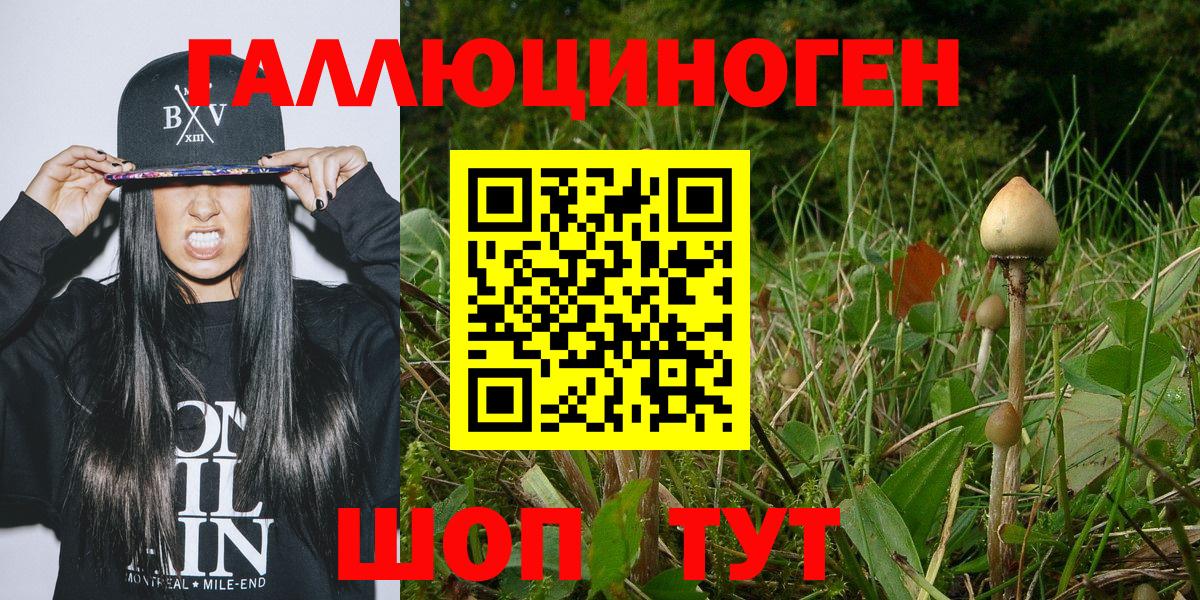 Псилоцибиновые грибы мицелий Обнинск